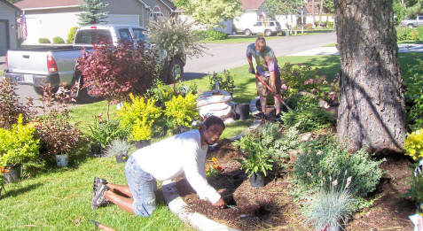 Let the friendly staff at Westwood Gardens help you make your Garden Dreams a reality!